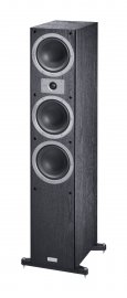 Tempus 77