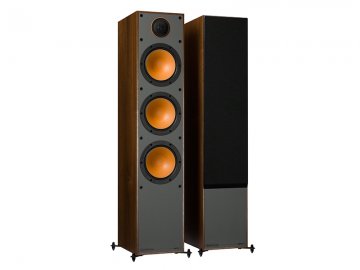 Monitor 300