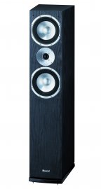 Quantum 555