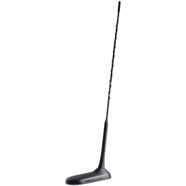 Antena Virginia