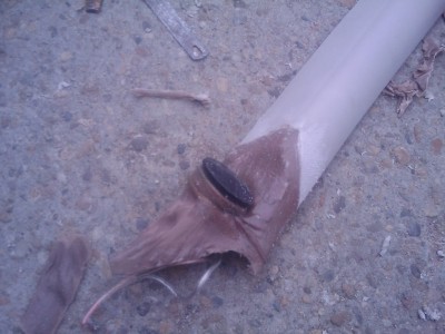 201006031728411.jpg