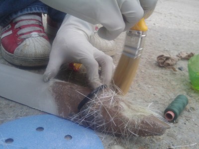 201006031733421.jpg