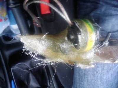 201006041455425.jpg