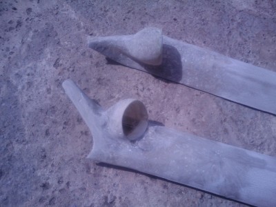 201006051547440.jpg