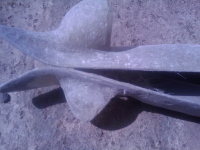201006051548442.jpg