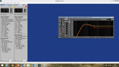2. Custom amplitude response.jpg