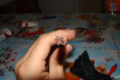 DSC04578 (Large).JPG