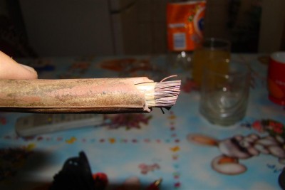 DSC04579 (Large).JPG