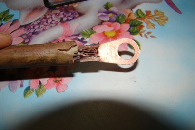 DSC04590 (Large).JPG