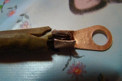 DSC04598 (Large).JPG