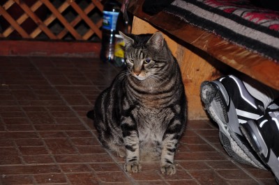 DSC_2099_resize.JPG
