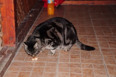 DSC_2101_resize.JPG