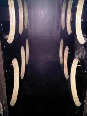 IMG00561-20111028-1730.jpg