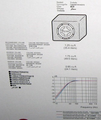 incinta pioneer 2.JPG