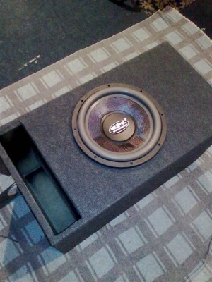 Poza.ta1028 (Large).jpg